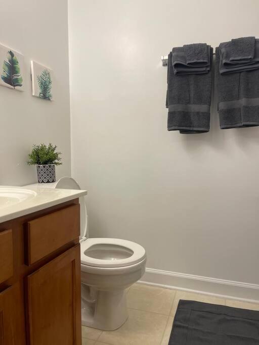 Apartament Simple Elegant Townhouse Dt Raleigh Ncsu Zewnętrze zdjęcie